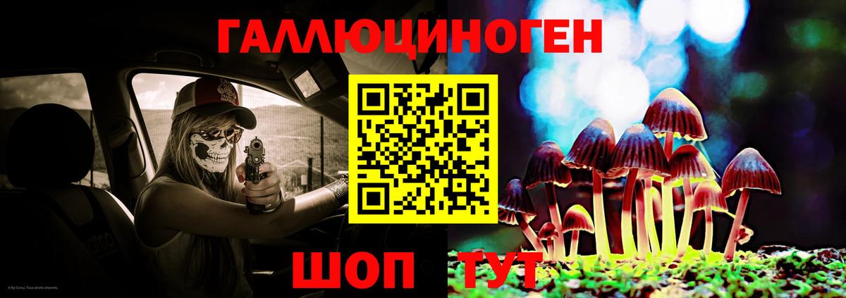 Бийск  Псилоцибиновые грибы мицелий  Вход с VPN 